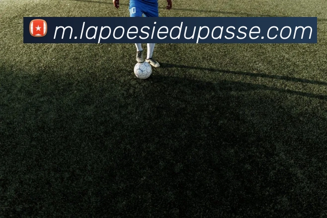 体育App